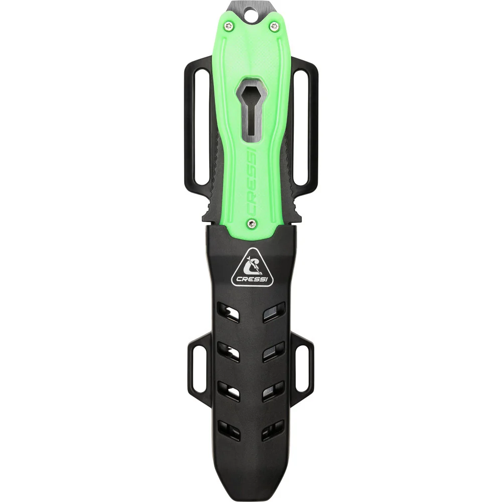 Lizard - Image 3